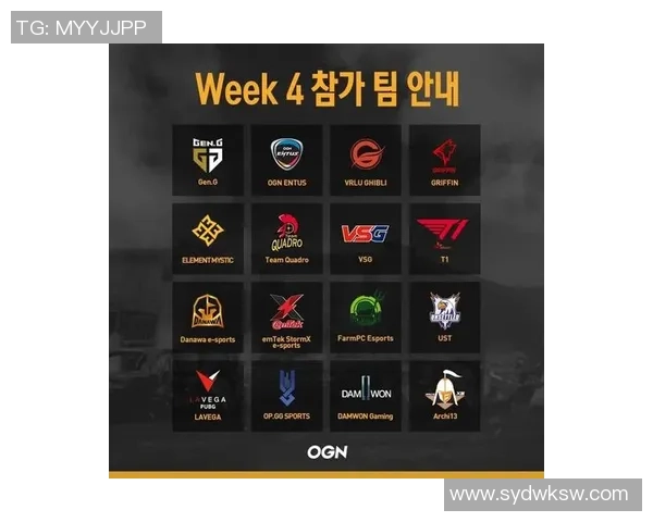 Danawa e-sports战队奋勇征战绝地求生赛场再创辉煌篇章